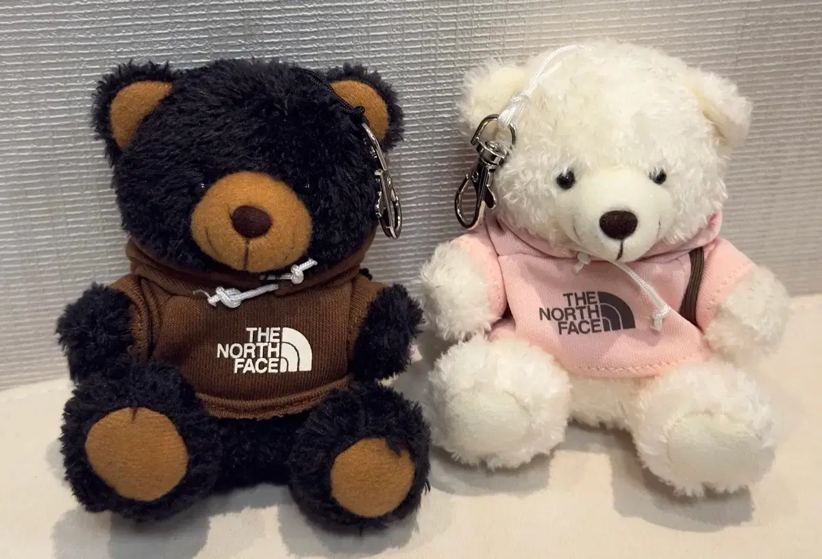 Supreme x The North Face Bear ベア　タン Supreme The North Face Bear Multicolor - SS24 - US